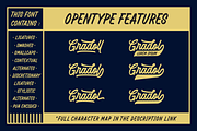 Battams No 25 Pro, a Script Font by Subqi Std (Thumbnail 6 of 8)