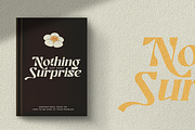 Ronikel - Modern Serif Font, a Serif Font by Font Liner (Thumbnail 9 of 12)