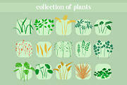 Complete Foliage Kit For Procreate, a Brush Add-On by BrushBoy (Thumbnail 5 of 7)