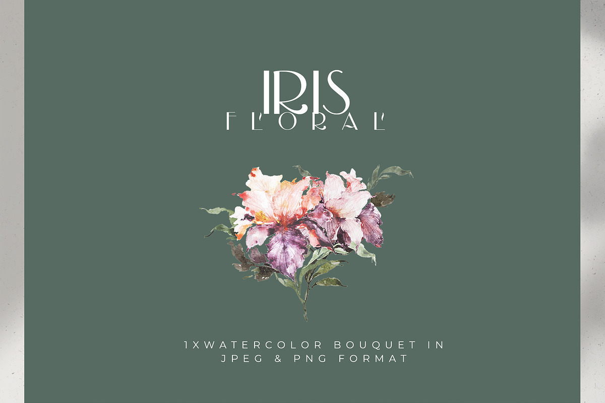 Watercolor Floral Set - Iris Flower, a Decorative Illustration by WalaPalette (Photo 3 of 6)