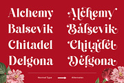 Cheva Display Serif Font, a Sans Serif Font by Letteralle Studios (Thumbnail 6 of 9)