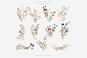watercolor beige wildflower clipart, a Decorative Illustration by Patishop Art (Thumbnail 7 of 10)