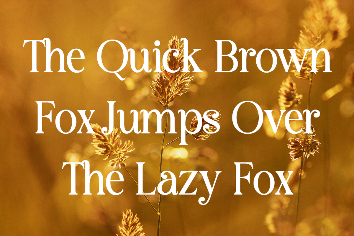 Bestogram - Logo Font, a Serif Font by RockboyStd (Photo 7 of 12)