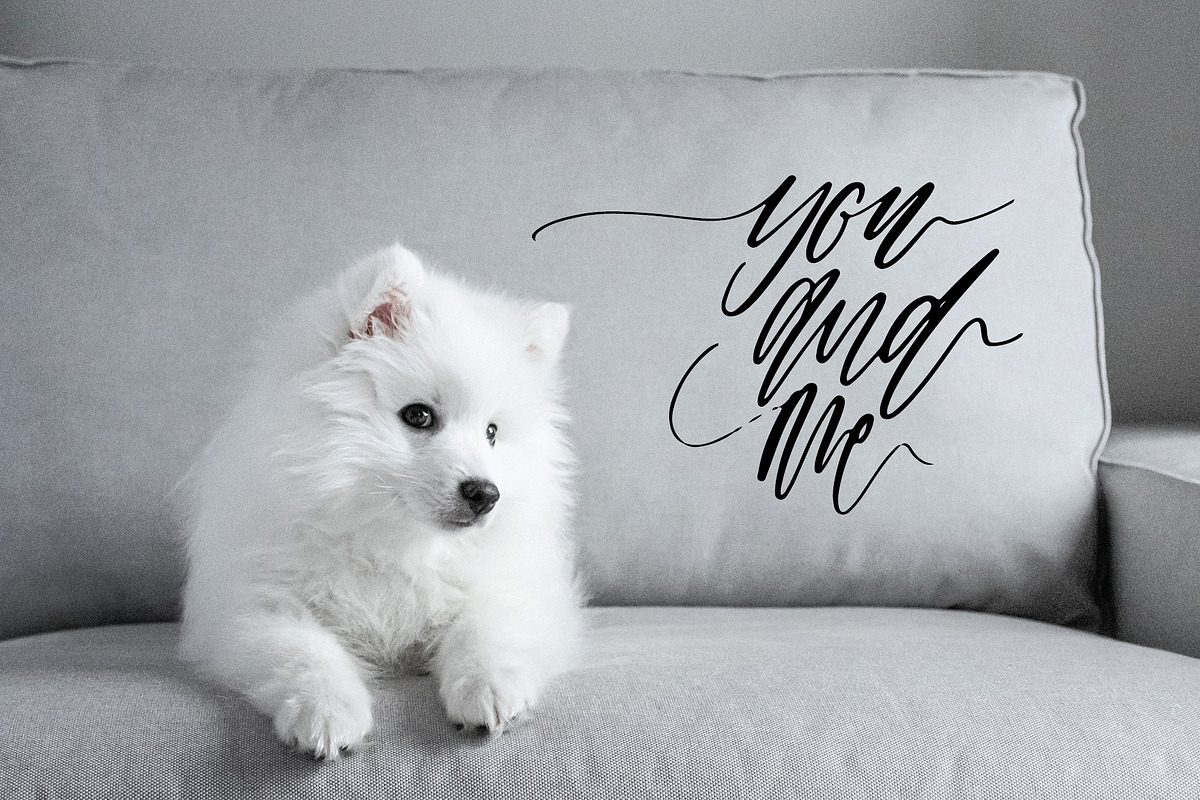 script font preview 2