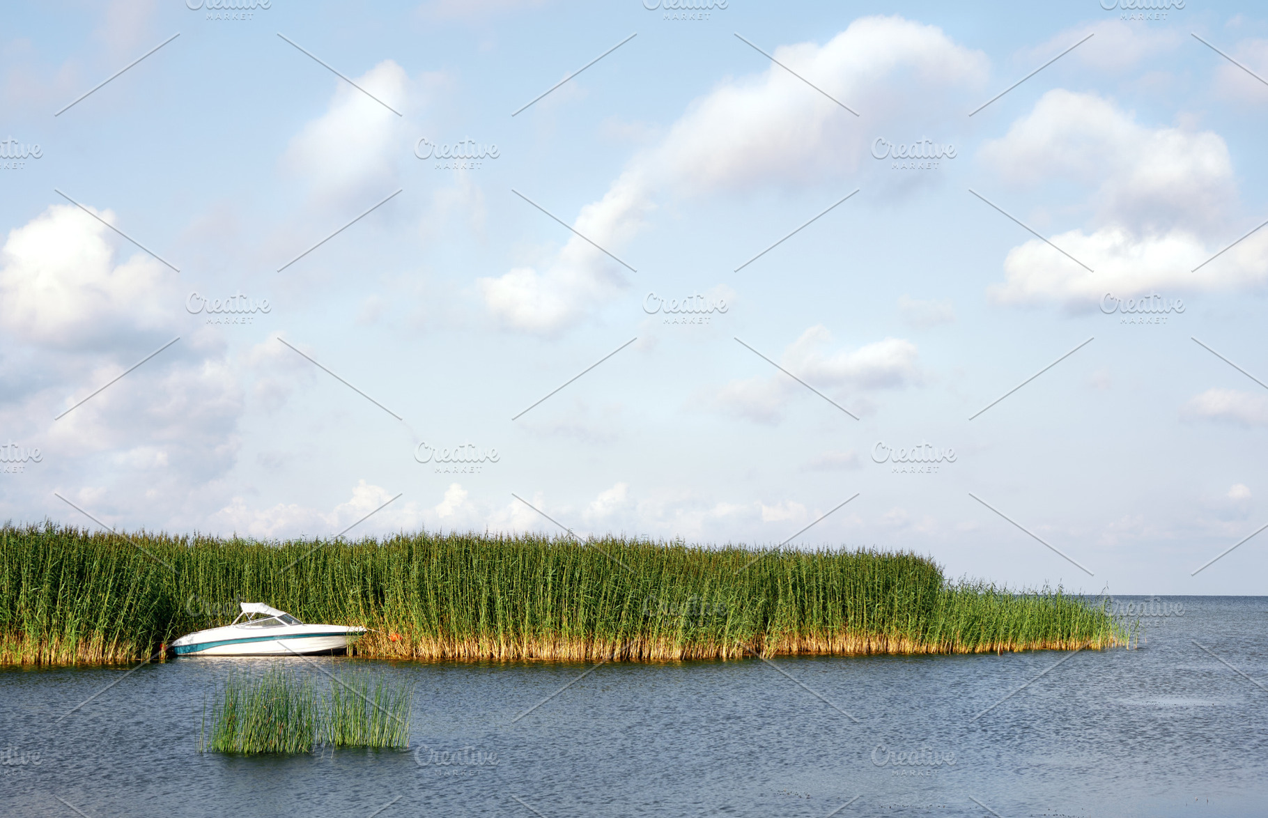 Small boat moored in bulrush reeds, a Nature Photo by BOOCYS