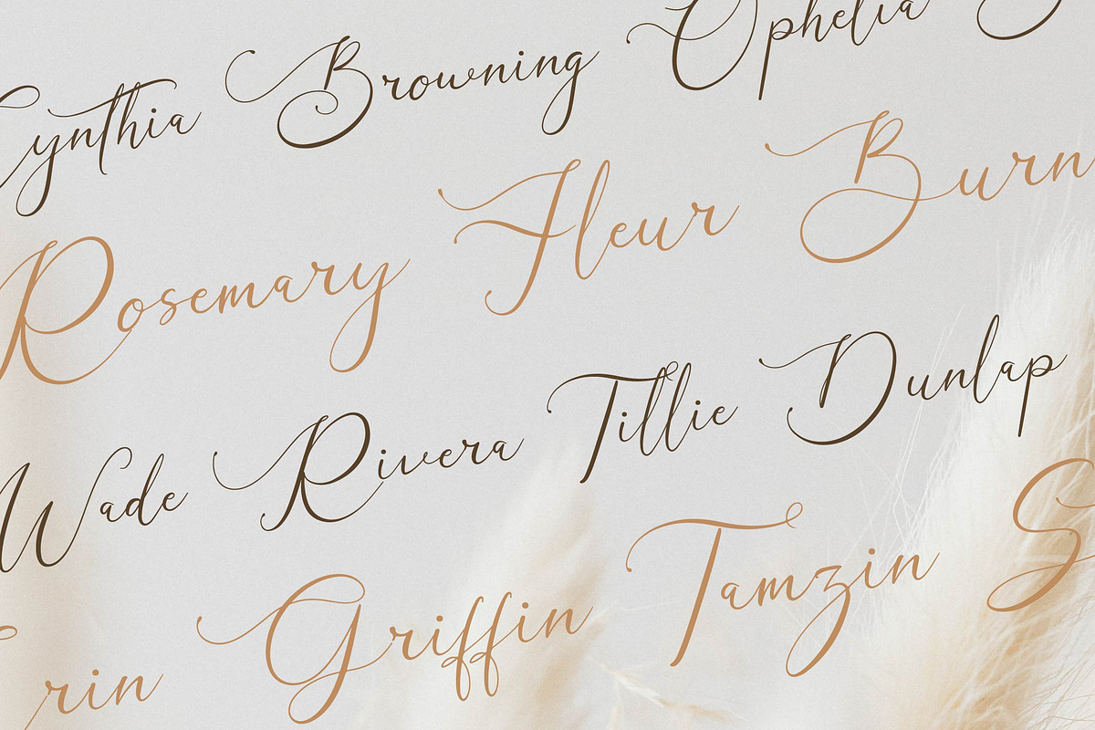 Galteniya | Beautiful Script, a Script Font by Denustudios (Photo 9 of 15)