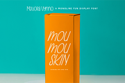 Meliora Vynno - Monoline Fun Display, a Handwritten Font by Indotype Foundry (Thumbnail 9 of 10)