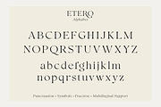 Etero, a Serif Font by Larin Type Co. (Thumbnail 14 of 15)