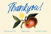 Distyan Stovilky Handwritten Brush, a Script Font by stylishtype.co (Thumbnail 15 of 15)
