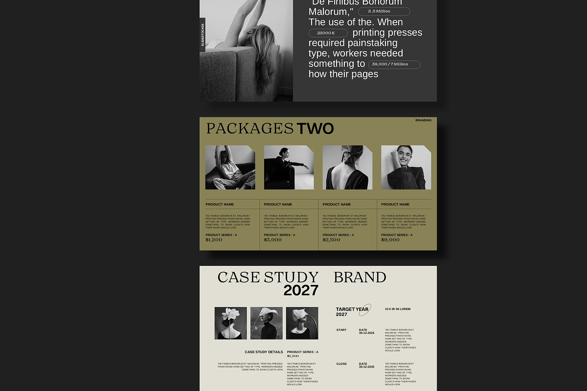 Lyra | Media Kit Template, a Presentation Template by slidestock55 (Photo 11 of 13)