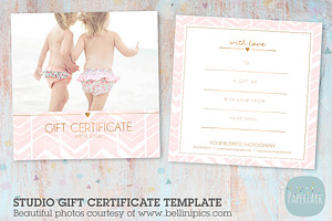 VG010 Gift Certificate Template