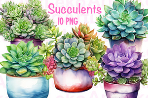 Succulents Watercolour Clipart