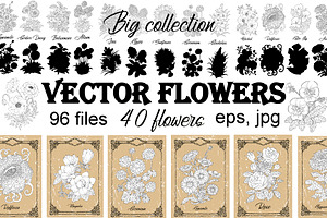 Big Set Of Vector Hand Drawn Flowers