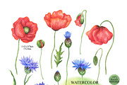 Watercolor Wildflowers clipart, an Illustration by OlDm_Shop (Thumbnail 2 of 7)