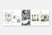 Ginkgo Animated Instagram Stories, a Social Media Template by Studio Sumac (Thumbnail 5 of 6)