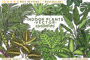 Indoor Plants VECTOR illustrations