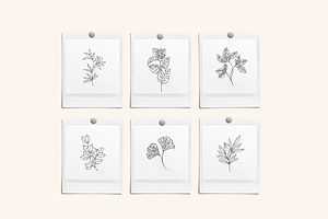 Inky Greenery Vector Illustrations