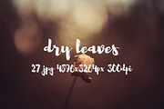 Dry leaves, a Templates & Theme by ApertureVintage (Thumbnail 9 of 16)