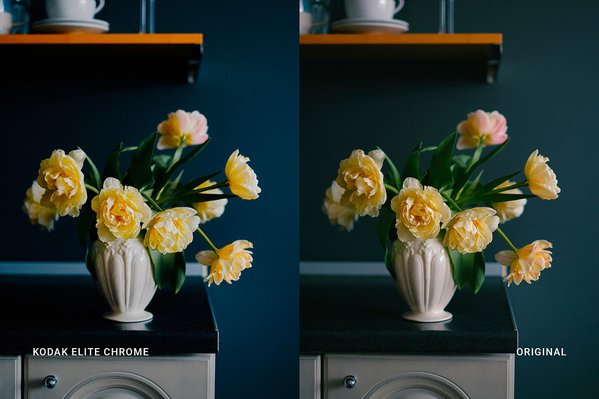 Kodak Elite Chrome, a Preset Add-On by colorituals (Photo 3 of 8)