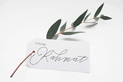 Bottle, a Script Font by Deniz86 (Thumbnail 4 of 7)