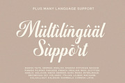 Chryselles Script, a Script Font by Madjack.font (Thumbnail 11 of 11)