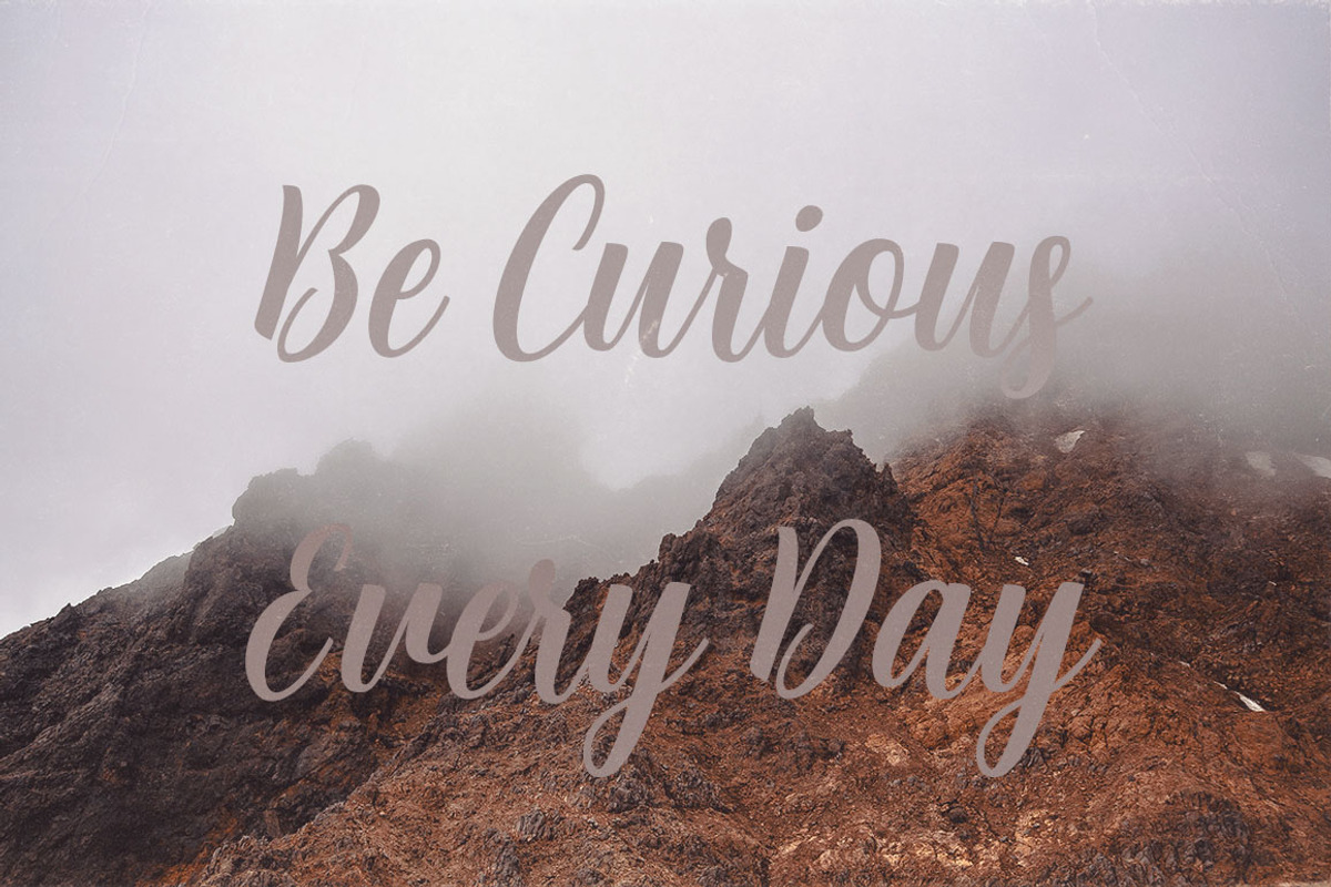 Angela Script Font preview 3