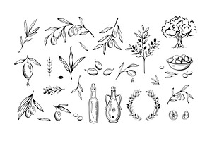Hand drawn olive. Sketch branches, a Food Illustration by winwin.art