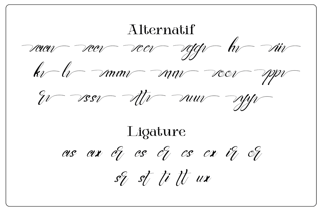 AnichaScript - Modern Elegant Script, a Script Font by MaikoHatta (Photo 8 of 8)