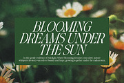 Glisstory, a Serif Font by Pista Mova (Thumbnail 7 of 20)