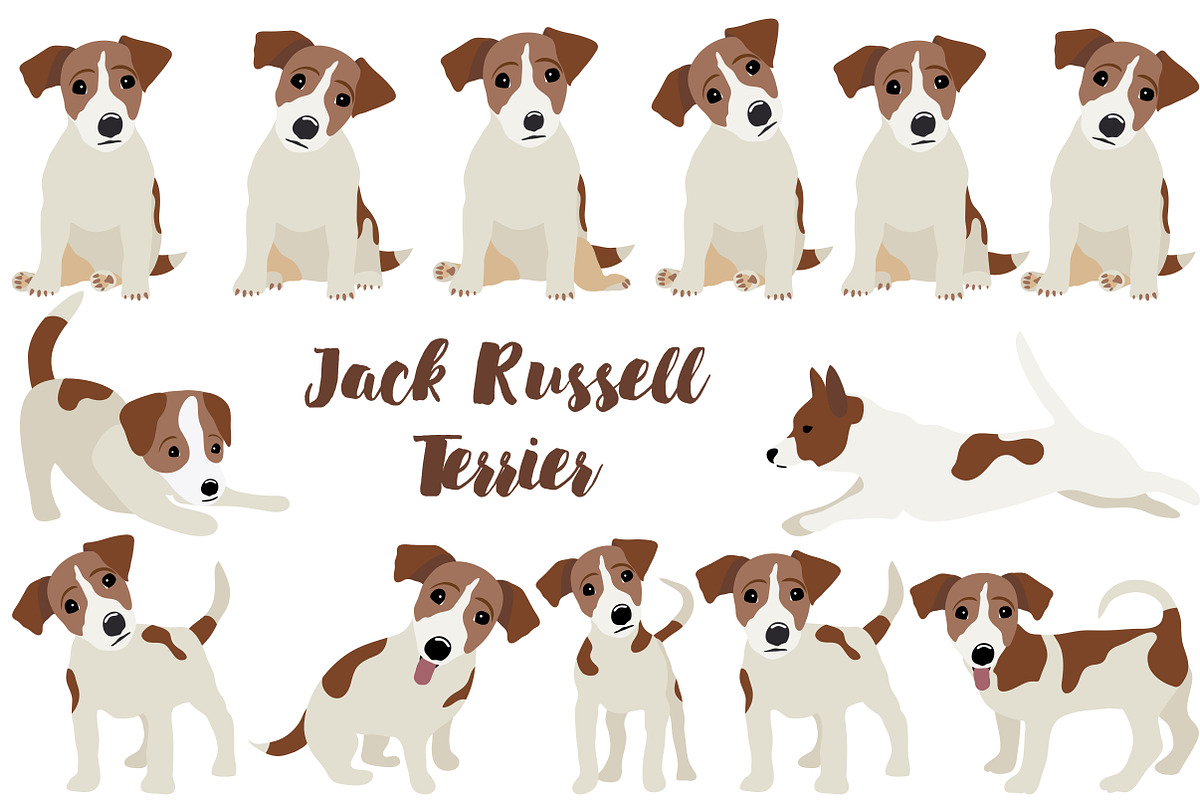 Jack Russell Terrier, an Animal Illustration by Orangepencil (Photo 1 of 12)