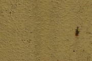 GSTC - Paint textures, a Texture Graphic by The Shop (Thumbnail 19 of 44)