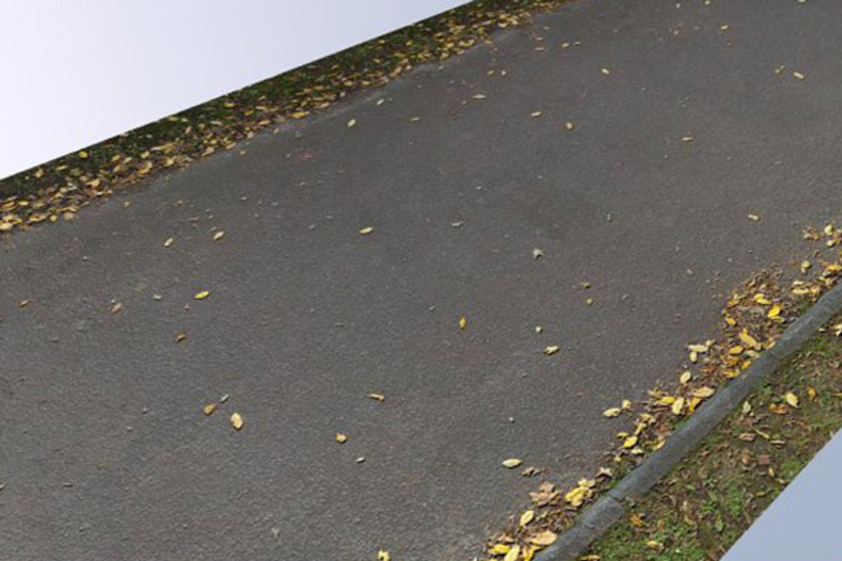 Road with Leaves 2048, a Textures & Material 3D Model by HDRI Hub