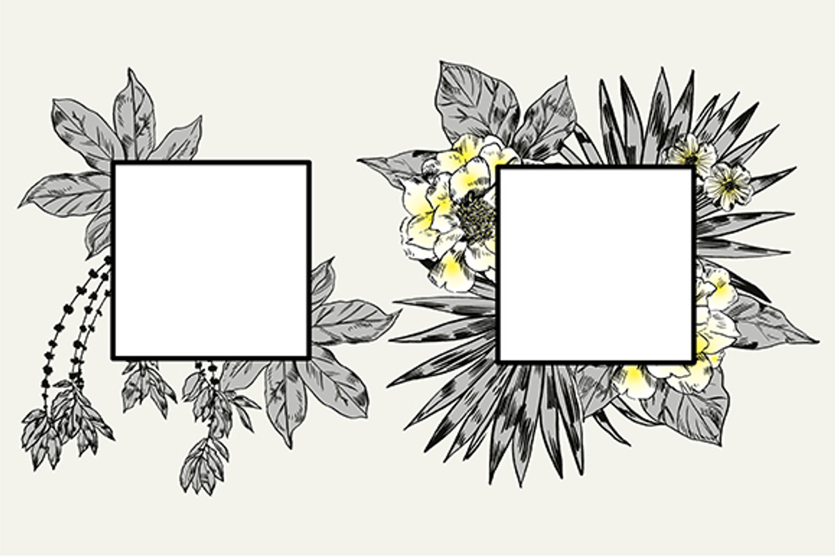 TROPIC set 2, a Decorative Illustration by Tanya Akhmett (Photo 5 of 10)