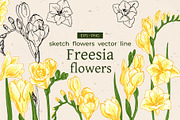 Freesia flowers color. Sketch vector, a Decorative Illustration by irina.vaneeva (Thumbnail 1 of 4)