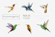 Watercolor Hummingbird clipart, an Animal Illustration by ReachDreams (Thumbnail 2 of 3)