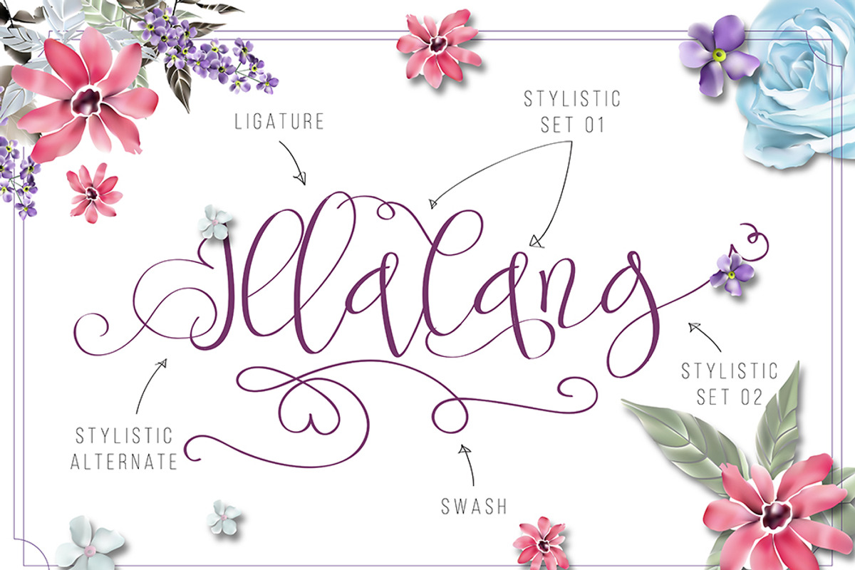 Pertiwi, a Script Font by Fontdation (Photo 4 of 4)