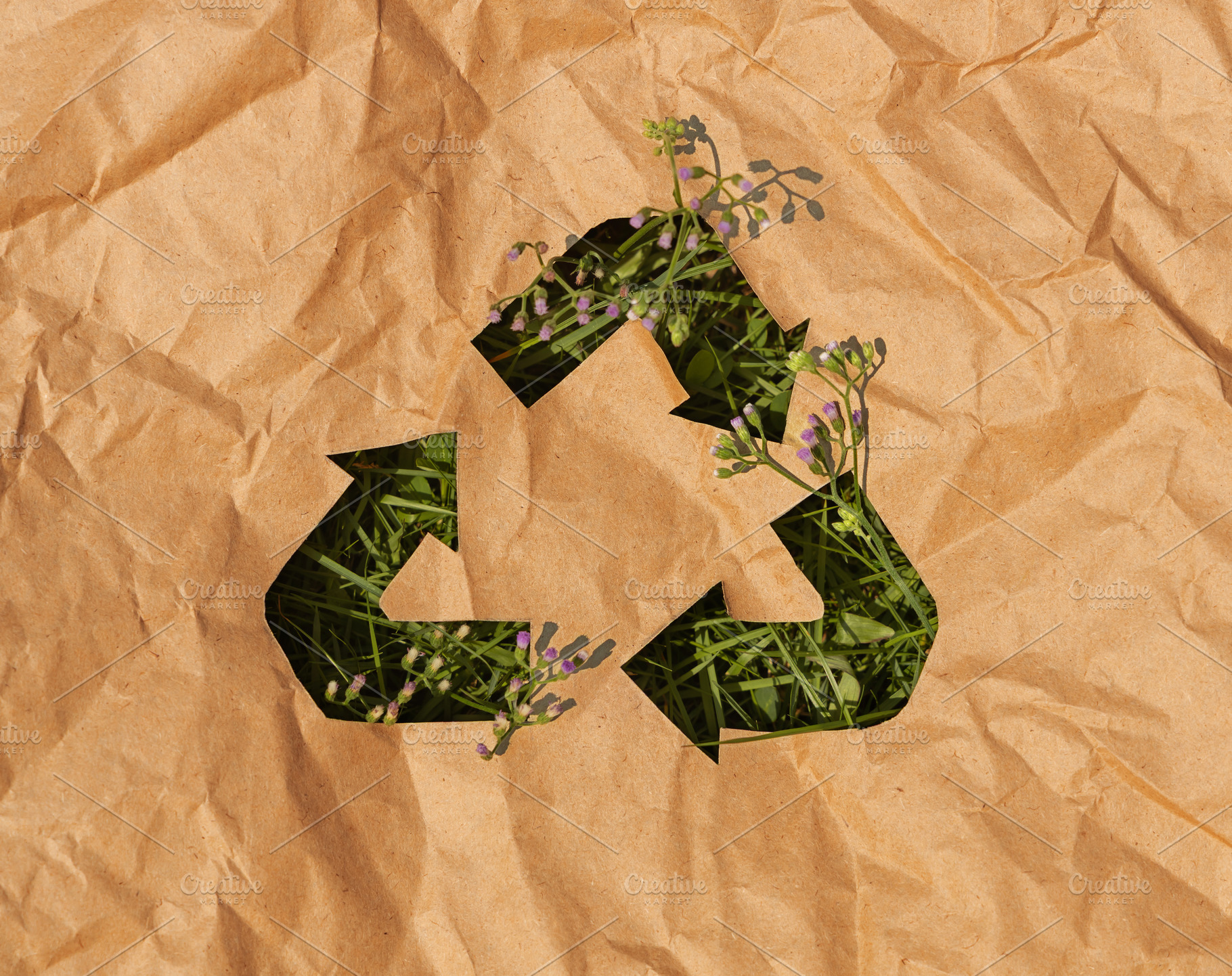 Recycle symbol cut on crumpled paper with grass, circular econom, a Photo by salmon.black