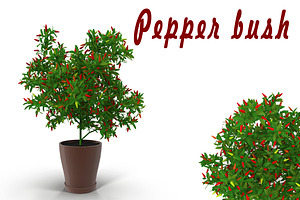 Pepper Bush