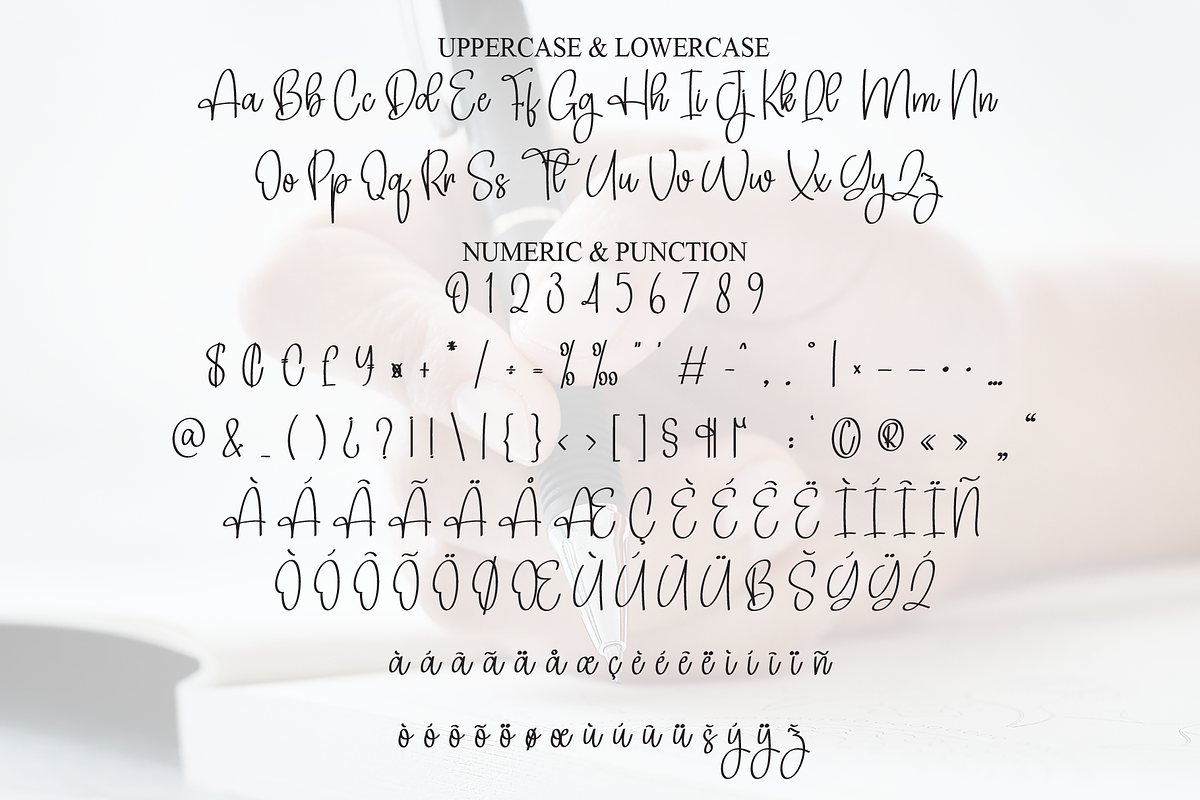 American Signature | Script Font, a Handwritten Font by Scratchones (Photo 7 of 8)