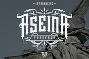 Blackletter Font Bundle, a Blackletter Font by Rvq Type Foundry (Thumbnail 4 of 17)