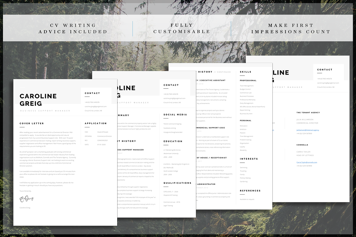 Professional Resume, a Resume Template by introDuice - CV / Resumes (Photo 6 of 6)