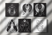Black Magic Cats + Bonus, an Animal Illustration by Croisy (Thumbnail 5 of 8)