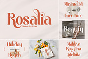 SALE! Mega Bundle 50+ Modern Font!, a Serif Font by Storytype Studio (Thumbnail 10 of 53)