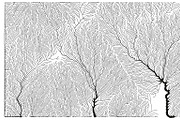 Growth - 50 Backgrounds, a Texture Graphic by GarryKillian (Thumbnail 12 of 51)