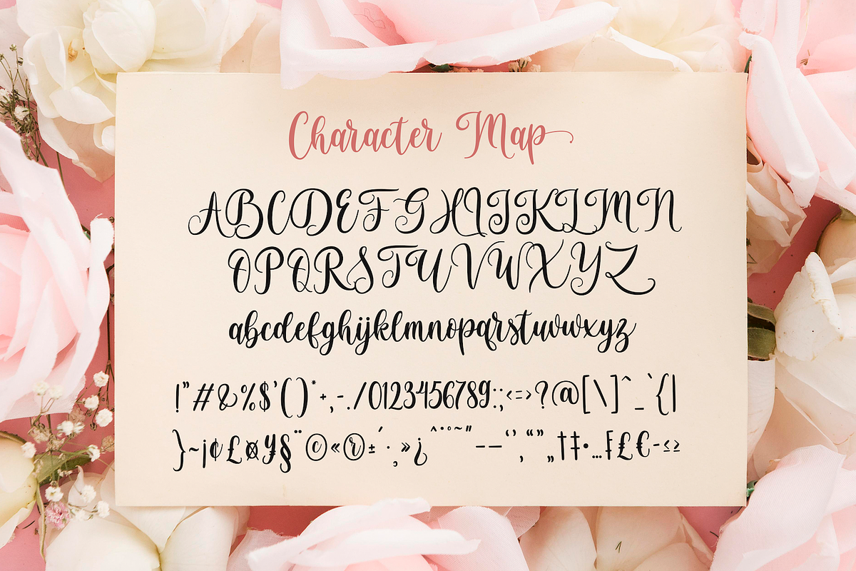 Brightside - Modern Calligraphy Font, a Script Font by StringLabs (Photo 10 of 13)