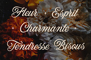 Les Liaisons Dangereuses Font Duo, a Slab Serif Font by Aurelie Maron (Thumbnail 8 of 9)