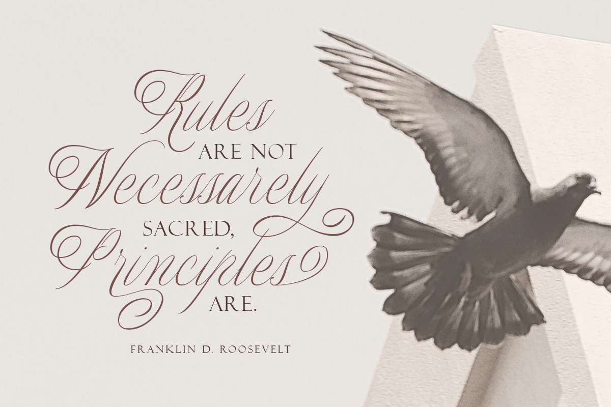 Merodine Script -, a Script Font by Letterhend Studio (Photo 7 of 9)