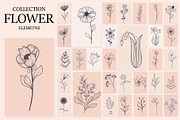 BIG Meadow Flowers Collection, a Decorative Illustration by ZinetroN (Thumbnail 1 of 4)