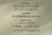 Saegathe Modern Serif Font, a Serif Font by Storytype Studio (Thumbnail 13 of 15)