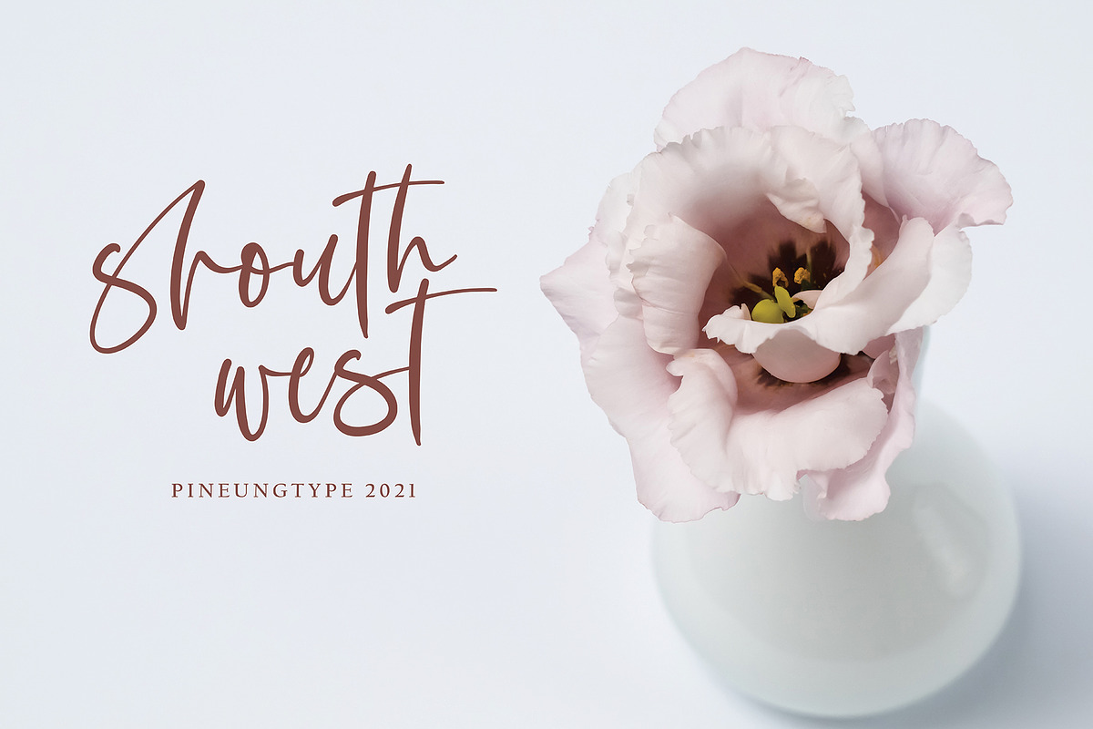 Buslliyan, a Script Font by pineungtype (Photo 4 of 10)